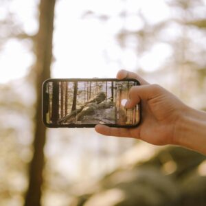 8TrSAabhs3HuSgJnsuO9FVDAOwfUn4TytrgsvNAG