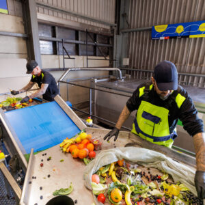 BcbhRPIvdhb1tcaw1MubNW2JD98GGK7PuYV9hg0I