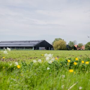 PERSBERICHT - Duitse retailer EDEKA en zuivelproducent Royal A-ware slaan handen ineen - v2