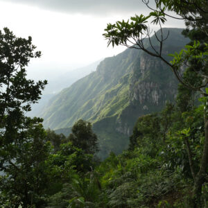 Tanzania-2017-Ecosia (58 of 69)