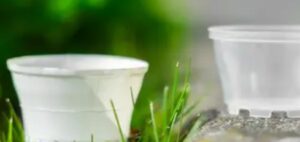 Maasstad Ziekenhuis start proef met eerste duurzame medicijncupjes ter wereld