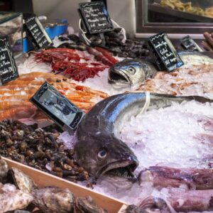 gburrull-fish-shop-1111293