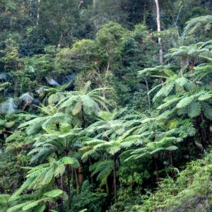 quang-nguyen-vinh-DR0sN1vunqI-unsplash