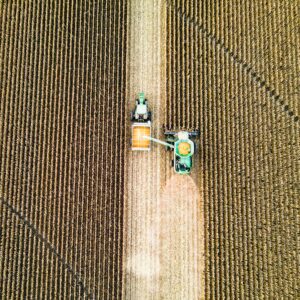 taylor-siebert-LkqmBbrvPZI-unsplash