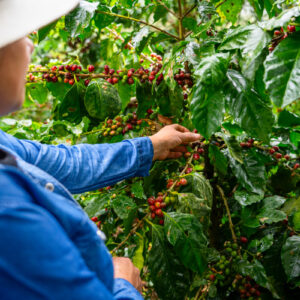 unnamed - 2026-04-30T143650.338