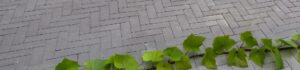 Morssinkhof Infra verankert CO₂-opslag in beton met toepassing van BioChar