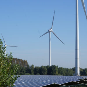 Zonnepark + wind