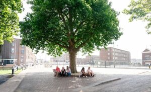 Trees for All zoekt de Heetste Straat van Nederland