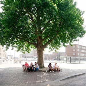 Trees for All zoekt de Heetste Straat van Nederland