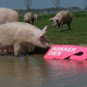 wakker dier