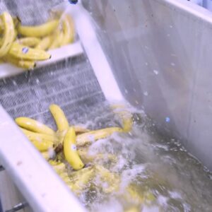 Schermafbeelding 2026-07-13 090257