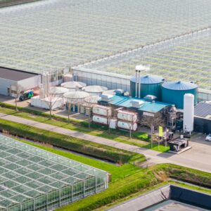 news-co2-supply-greenhouses