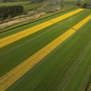 Schermafbeelding 2026-09-10 095022
