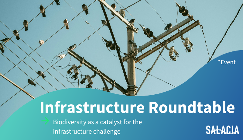 Event 'Biodiversity as a catalyst for the infrastructure challenge'