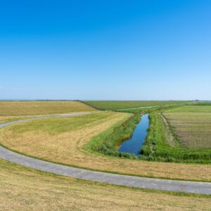 pexels-mike-van-schoonderwalt-1884800-5511494